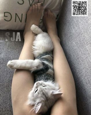 消失的她 电影免费观影