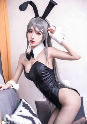 动物管理局