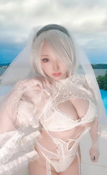 樱花网