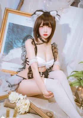 白月梵星 电视剧