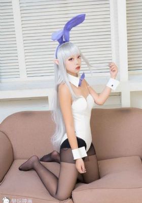 艺记回忆录