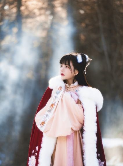 告诉他们我乘白鹤去了